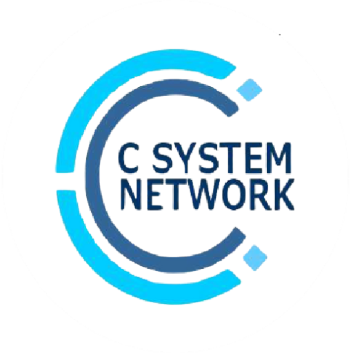 C System & Network